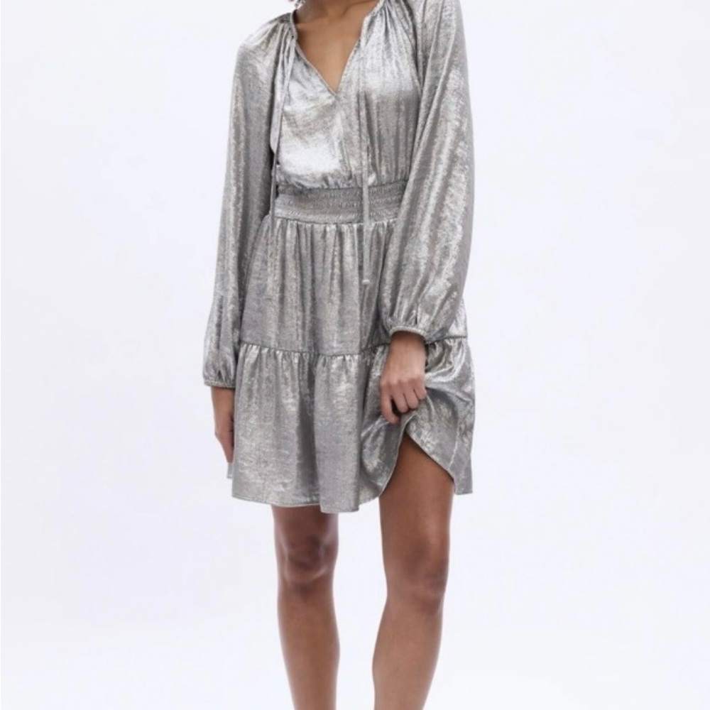 NWT GAP Silver Long Sleeve Dress